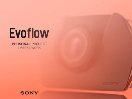 «Sony EvoFlow»