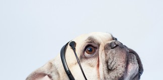 переводчик