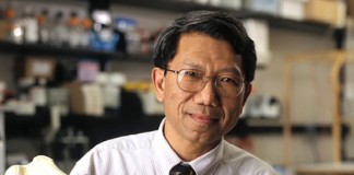 Остеоартрит