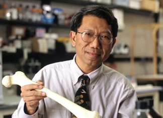 Остеоартрит