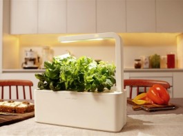 Smart Herb Garden