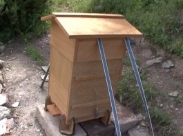 Colony Collapse Disorder