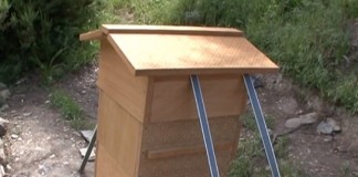 Colony Collapse Disorder