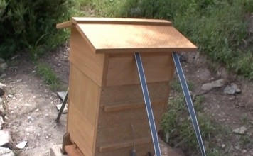 Colony Collapse Disorder