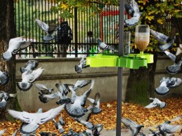 Кормушки для домашних животных Кормушки для домашних животных