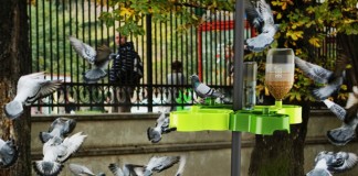 Кормушки для домашних животных