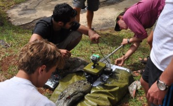 Лодки в виде крокодилов помогают изучить бегемотов (видео) Лодка