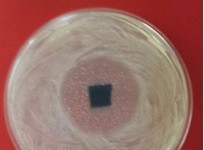 Серебряная эсенция