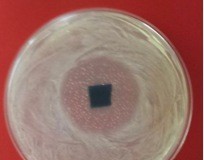 Серебряная эсенция