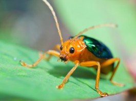 Метод борьбы с вандализмом