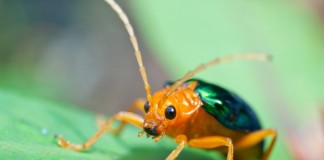 Метод борьбы с вандализмом