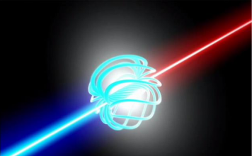 LPP Fusion