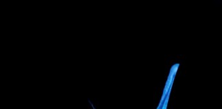 Регенерация пластика