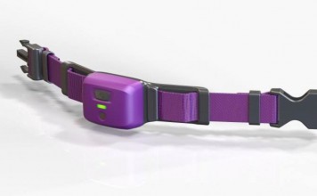 PetPace помогает контролировать состояние питомца PetPace