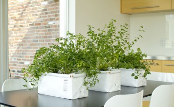 Patch — устройство для выращивания домашних растений и овощей, которое само организует полив patch