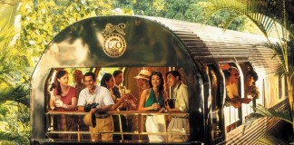 путешествовать поездом