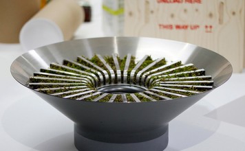 moss humidifier