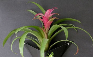 origami planter