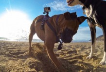 gopro fetch
