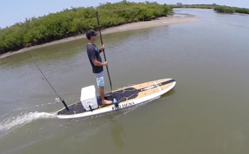 WaveJet — электрическая лопасть для реактивного двигателя, которая плавает с рыбами (видео) wavejet