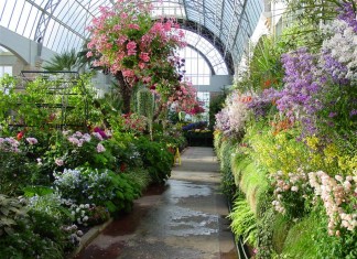 Порадуйте себя великолепным садом!