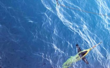 ocean-gliders