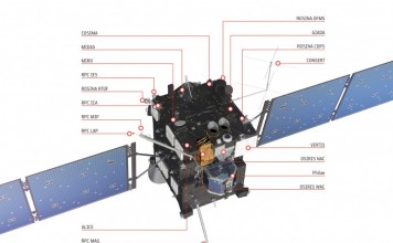 rosetta
