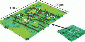 источник света