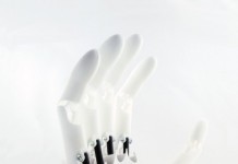 youbionic