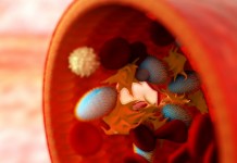 Новые наночастицы позволят эффективнее останавливать кровотечение nanoparticles