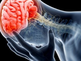 Ученые научились «отключать» хроническую боль головная боль