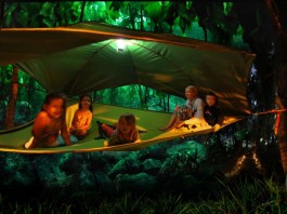 tentsile