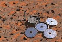 beagle2
