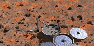 beagle2
