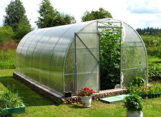 Растите свое здоровье сами!