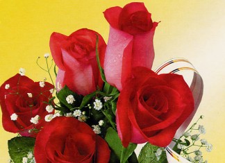 Выбираем подарки на 8 марта начальнице