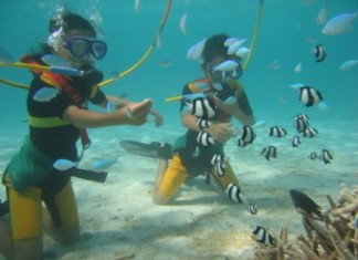 Дайвинг для Вас! dajving