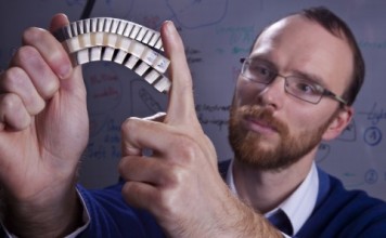 Солдаты будущего могут носить бронежилет, прототипом которого является скелет рыбы armor