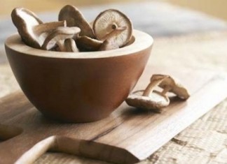 Фунготерапия как выход из болезни