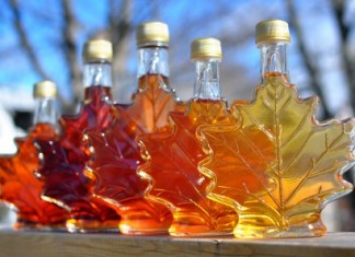 Экстракт кленового сиропа станет средством по борьбе с супербактериями (видео)