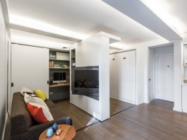 5:1 apartment