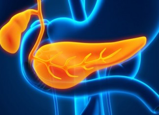 Белок преобразовывает клетки рака поджелудочной железы обратно в здоровые клетки cancer