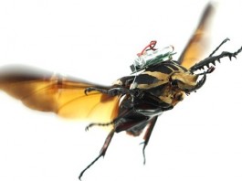 управляемый жук