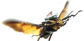 управляемый жук