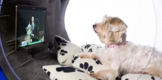 samsung_dream_doghouse