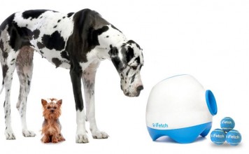 iFetch теперь разработан и для больших собак (видео) ifetchtoo