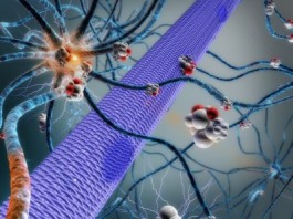 Имплантируемый микронасос мог бы доставлять препараты от эпилепсии напрямую в мозг implanted-microchip