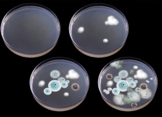 Штативы и другие аксессуары