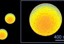 silicone-microspheres