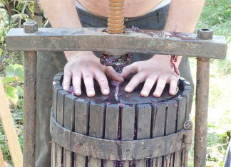 Технологии вкусного вина